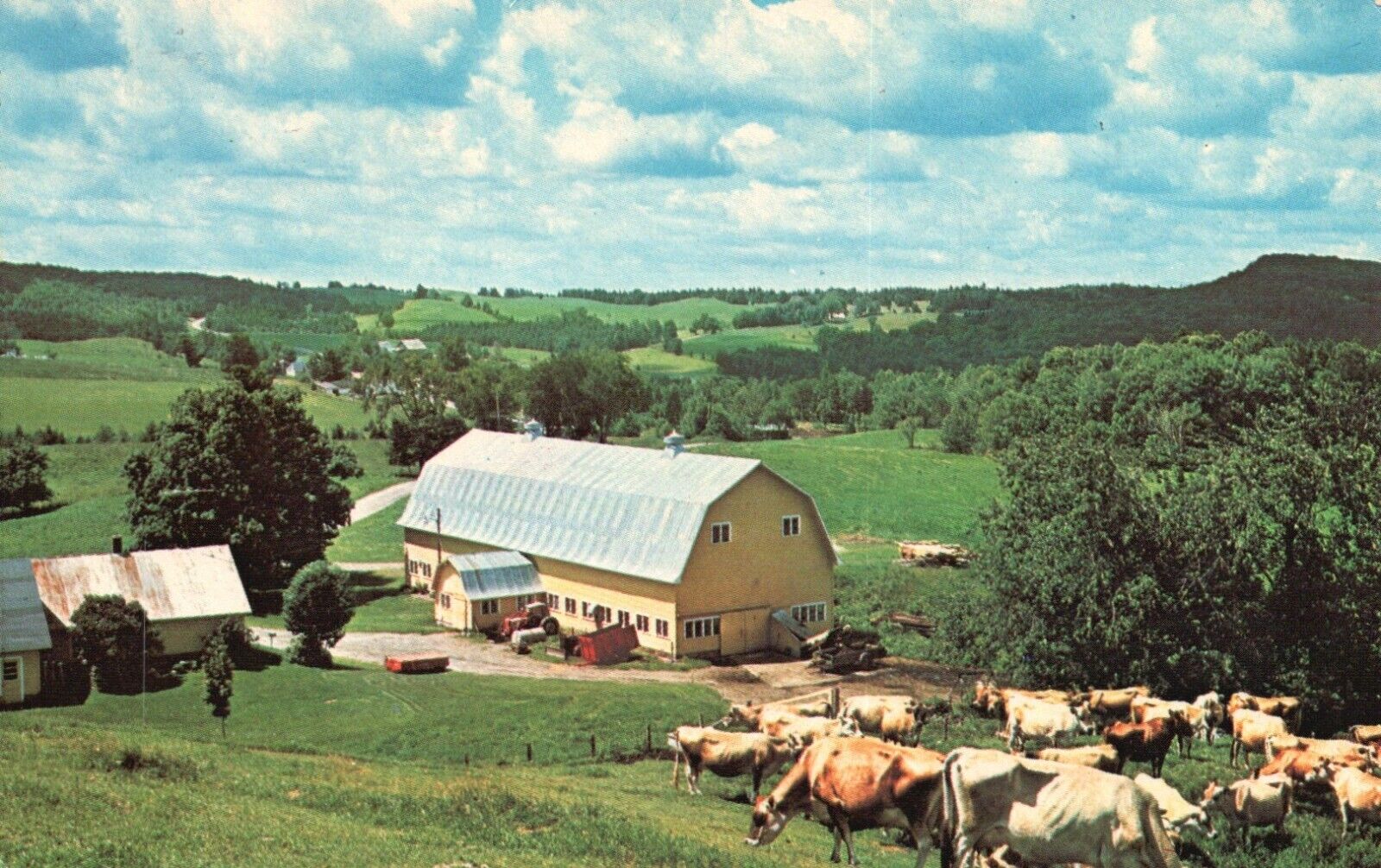 Walden, Vermont, VT, Twin Maple Farm, Chrome Vintage Postcard a8642
