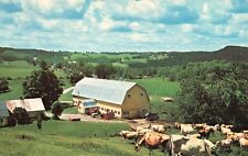 Walden, Vermont, VT, Twin Maple Farm, Chrome Vintage Postcard a8642 picture