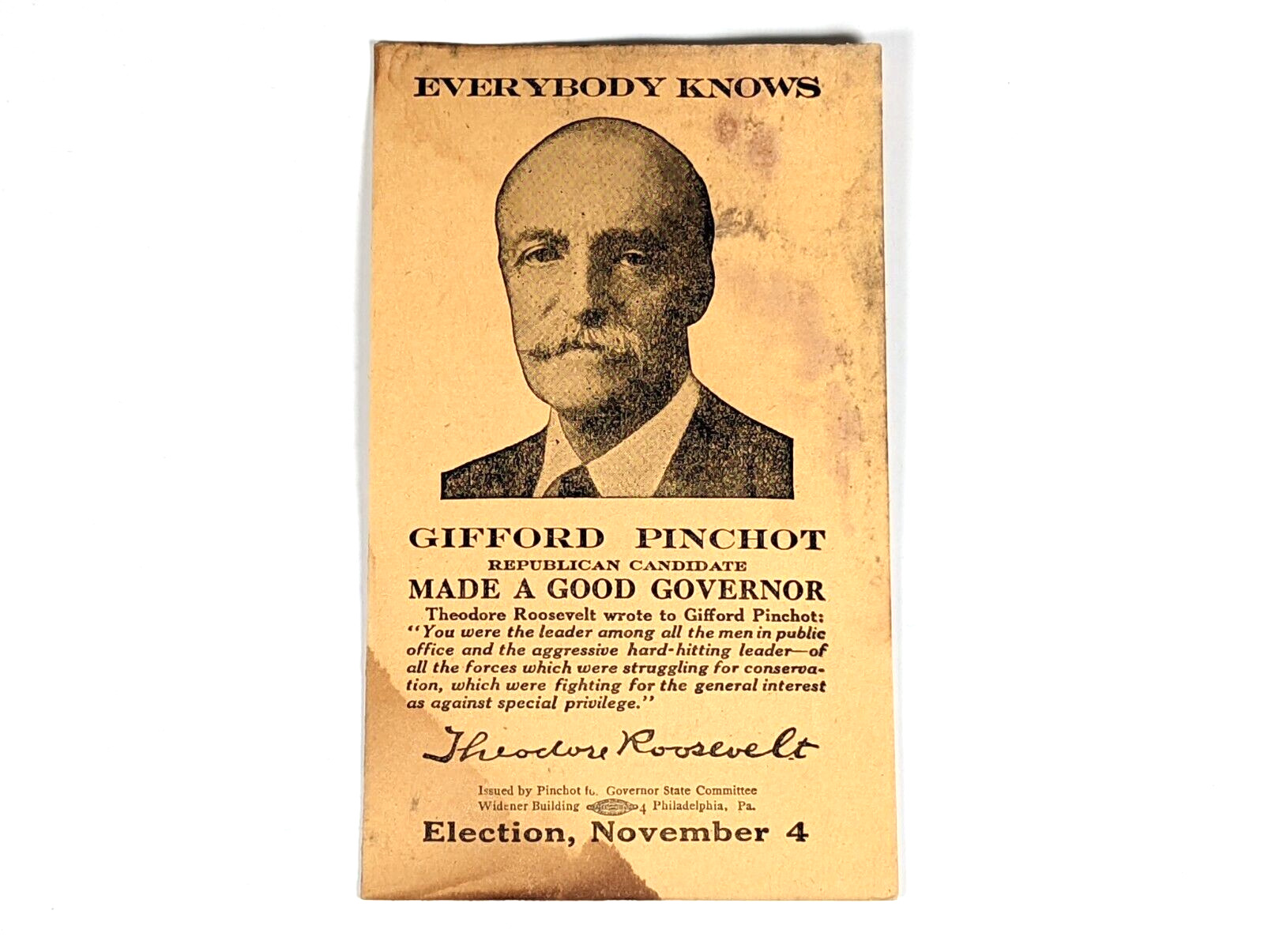 Gifford Pinchot Republican Governor Election Campaign Brochure Roosevelt Endorse