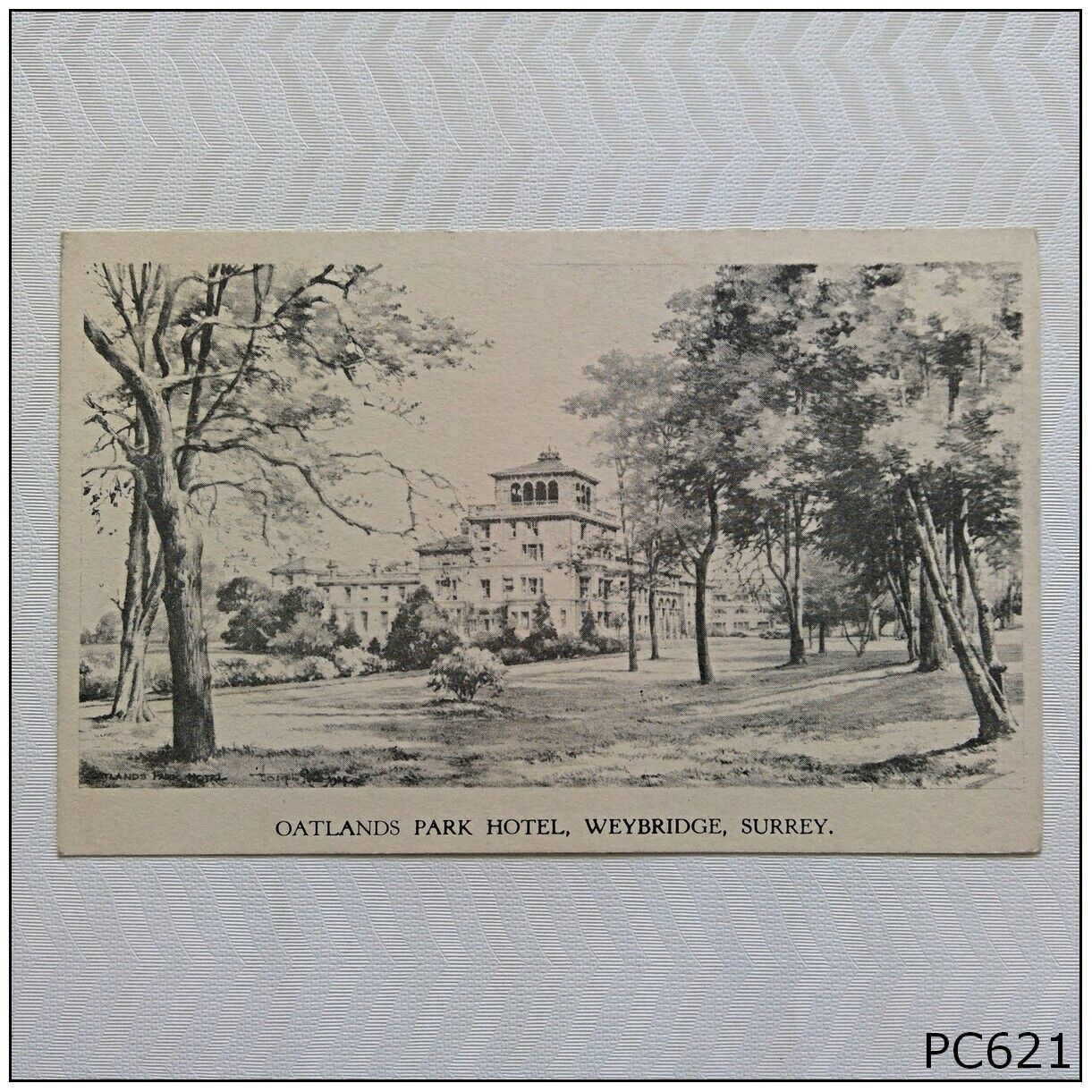 Oatlands Park Hotel Weybridge Surrey Postcard (A) (P621)