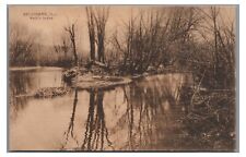 Kelly's Island at BELVIDERE IL Illinois Vintage 1908 PCK Postcard picture