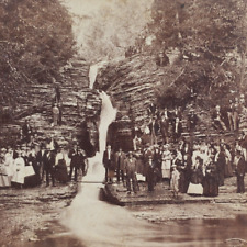 Albany Institute Field Meeting Stereoview c1872 Whittaker Falls Park Photo B885 picture