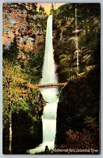 Oregon Multnomah Falls Benson Foot Bridge Columbia River Vintage Postcard picture