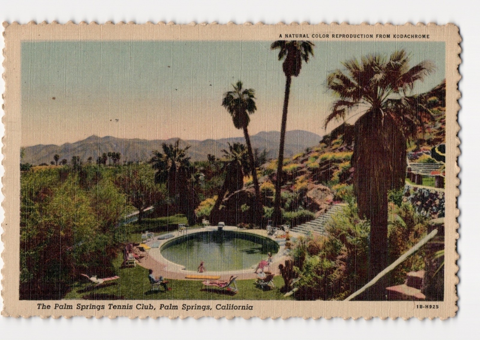 Palm Springs Tennis Club CA Stephen H. Willard Kodachrome Pool Mtn 1955 Palm Springs Tennis Club CA Stephen H. Willard Kodachrome Pool Mtn 1955