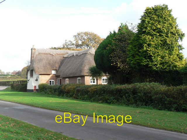 Photo 6x4 Lower Row: Greenbanks Higher Row A pleasant thatched cottage, w c2008