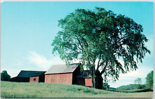 Quechee Vermont Red Barns Green Hills Trademark Farm VT USA Vintage VTG Postcard picture