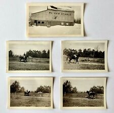 Horse Photograph Lot Rider Equestrian Mt View Stables Westfield NJ Snapshot Vtg picture