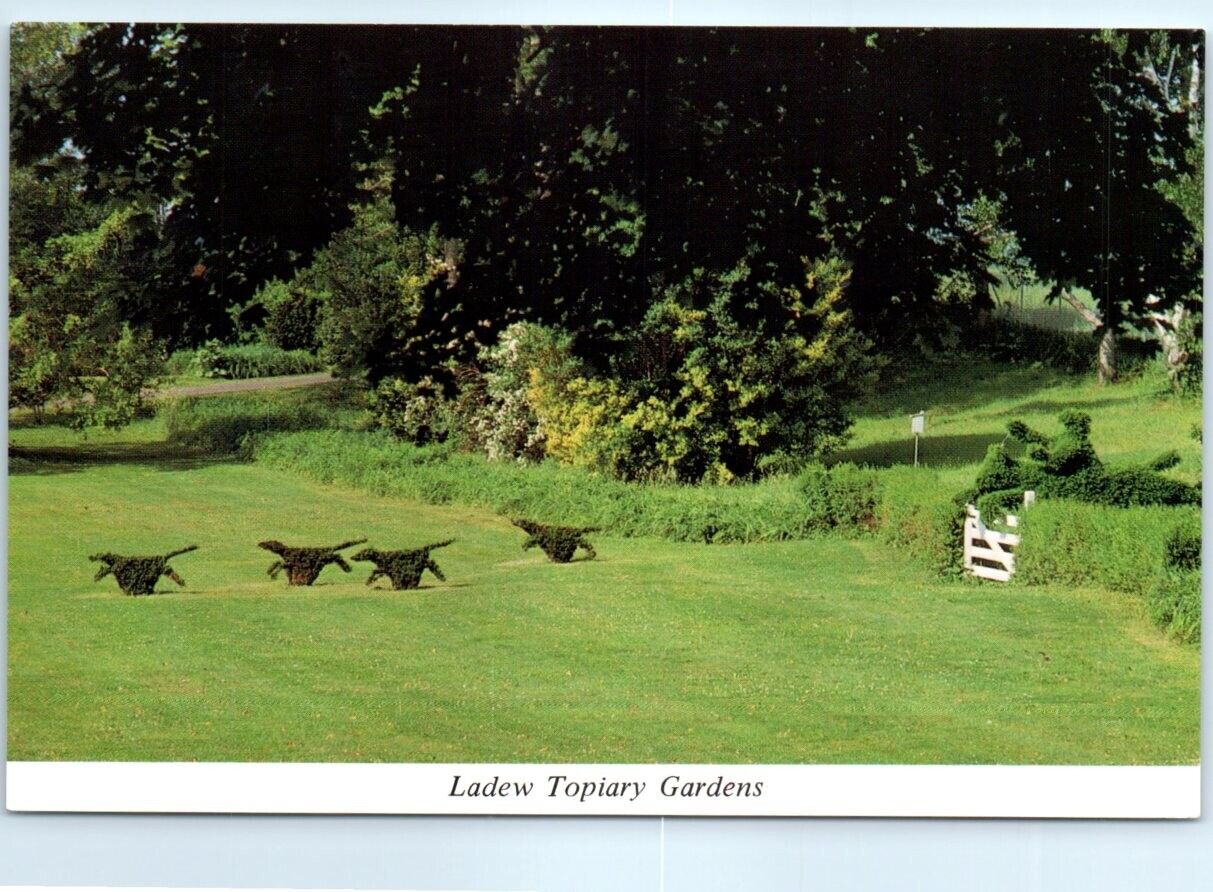 Postcard - Topiary hunt scene, Ladew Topiary Gardens - Monkton, Maryland