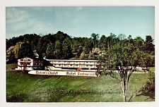 1969 Brattleboro Vermont Dalem's Chalet Motel Restaurant Lounge Vintage Postcard picture