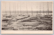 Brunswick Georgia GA Brunswick Western Railroad Lumber Crosstie Postcard c1900s picture