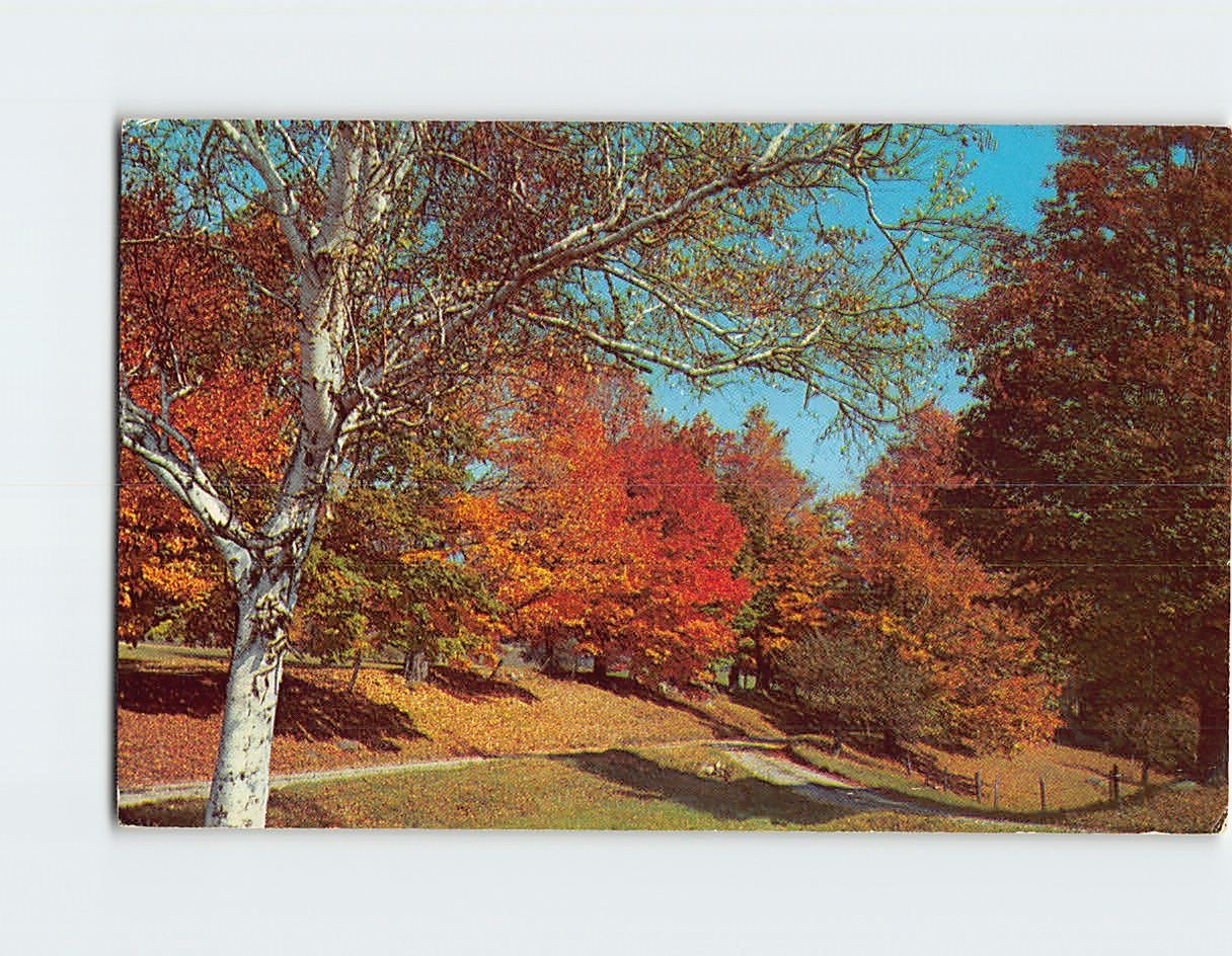Postcard Fall Route 140 Tinmouth Vermont Poultney Wallingford Rutland County USA Postcard Fall Route 140 Tinmouth Vermont Poultney Wallingford Rutland County USA