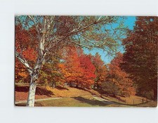 Postcard Fall Route 140 Tinmouth Vermont Poultney Wallingford Rutland County USA picture