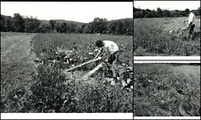 CHARLES SWALLOW (?) Farm - 3 Vintage PHOTOGRAPHS - Proctorsville, VERMONT Flood picture